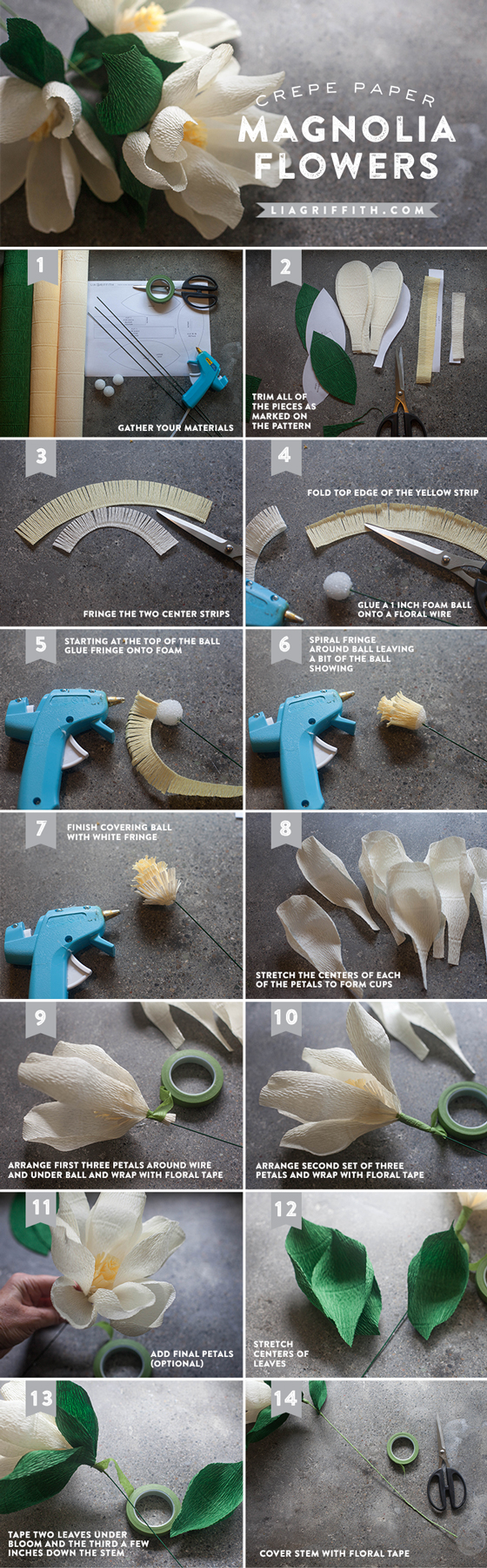 Crepe_Magnolia_Tutorial1