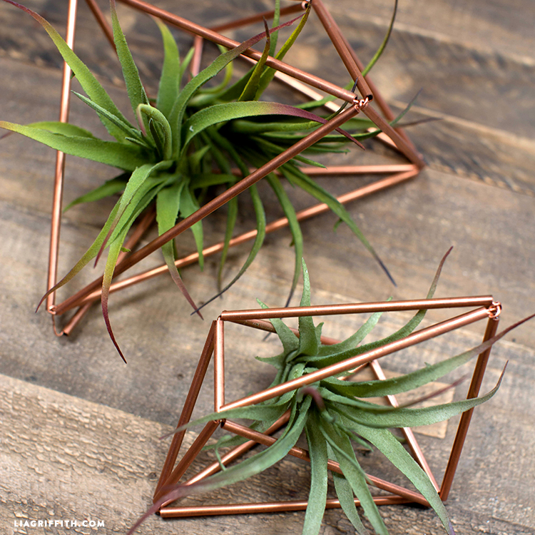 DIY Copper Plant Hangers Lia Griffith